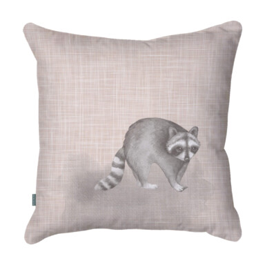 Raccoon