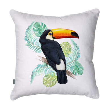 Toucan Palm