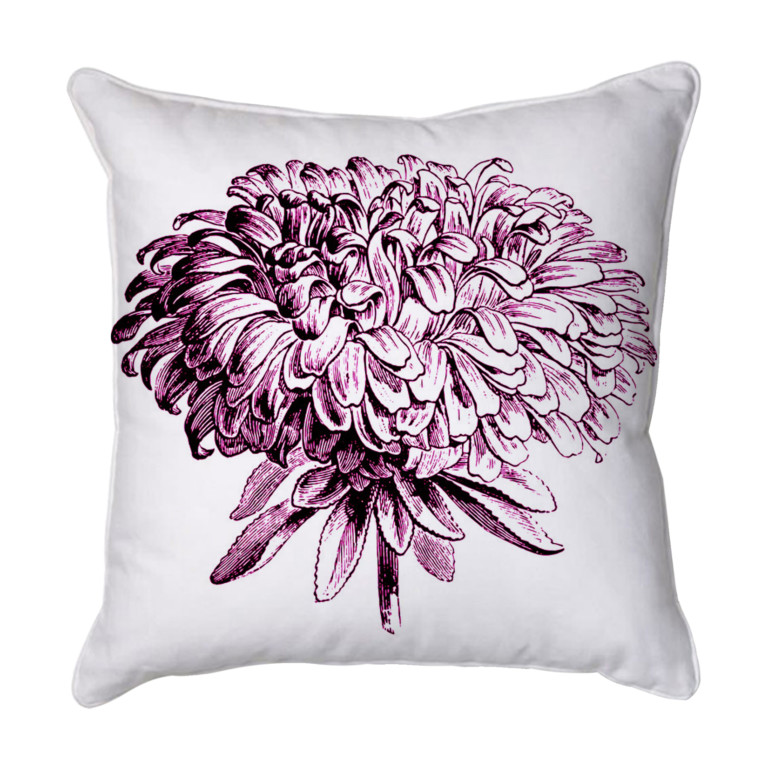 Chrysanthemum 2 Mauve