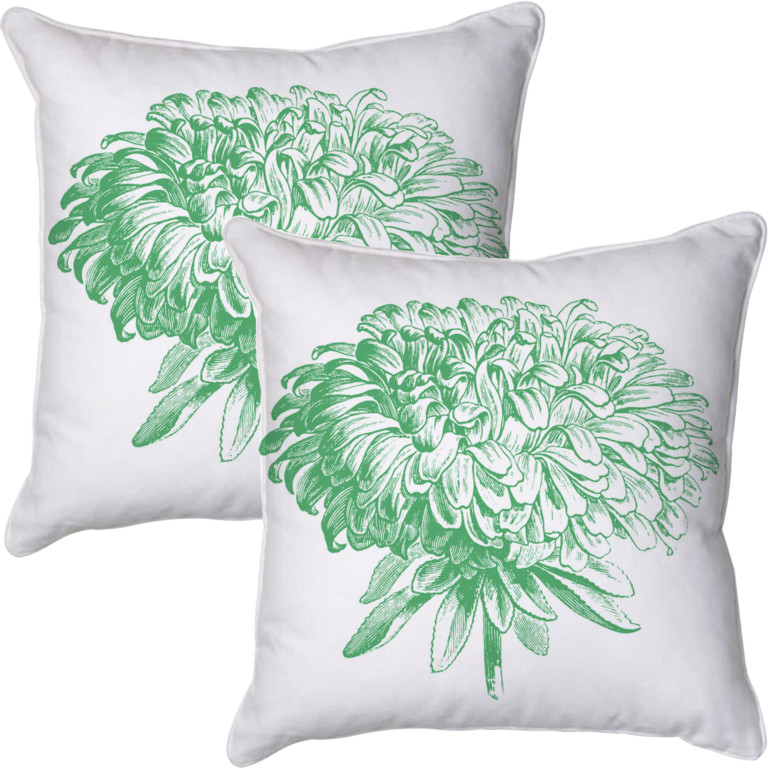 Chrysanthemum 2 Green