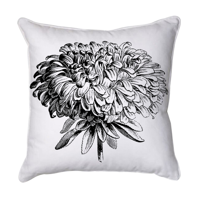 Chrysanthemum 2 Black