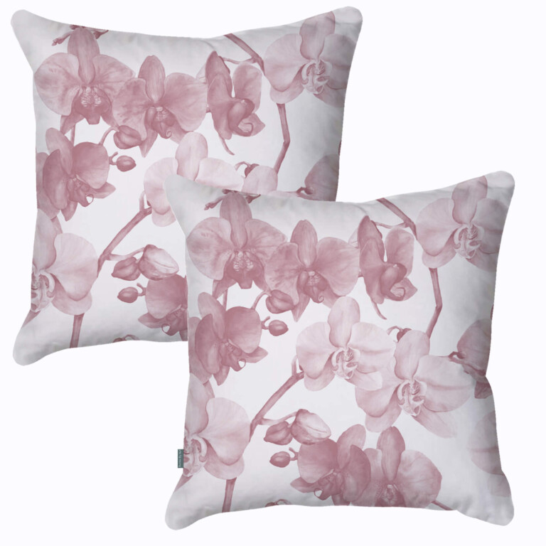 Orchid Pale Pink