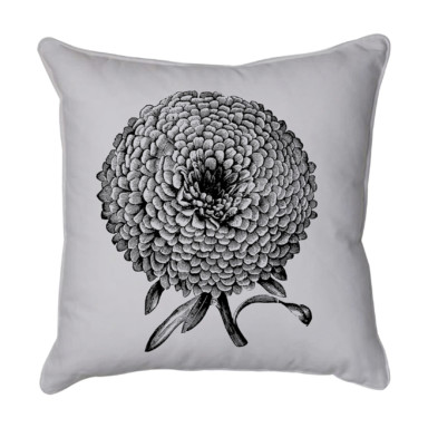 Chrysanthemum 1 Grey