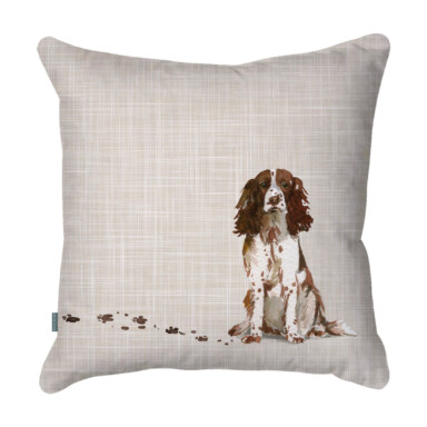 Springer Spaniel