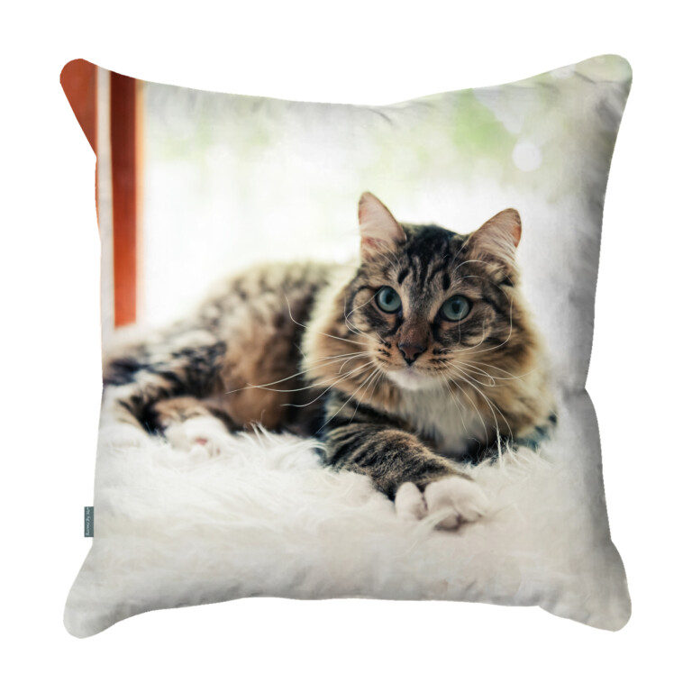 Personalised Cushion