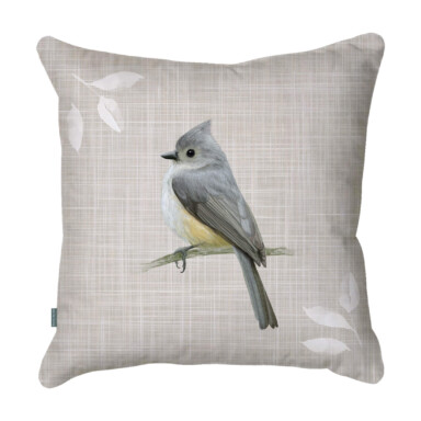Tufted Titmouse