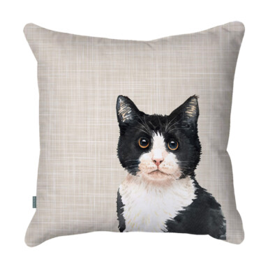 Tuxedo Cat