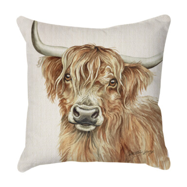 Highland Cow