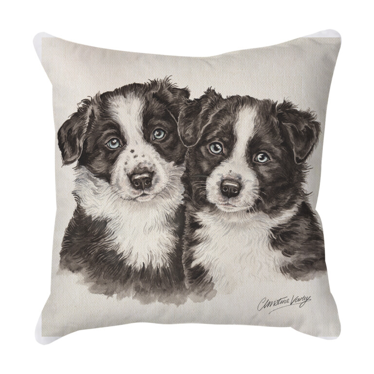 Border Collies