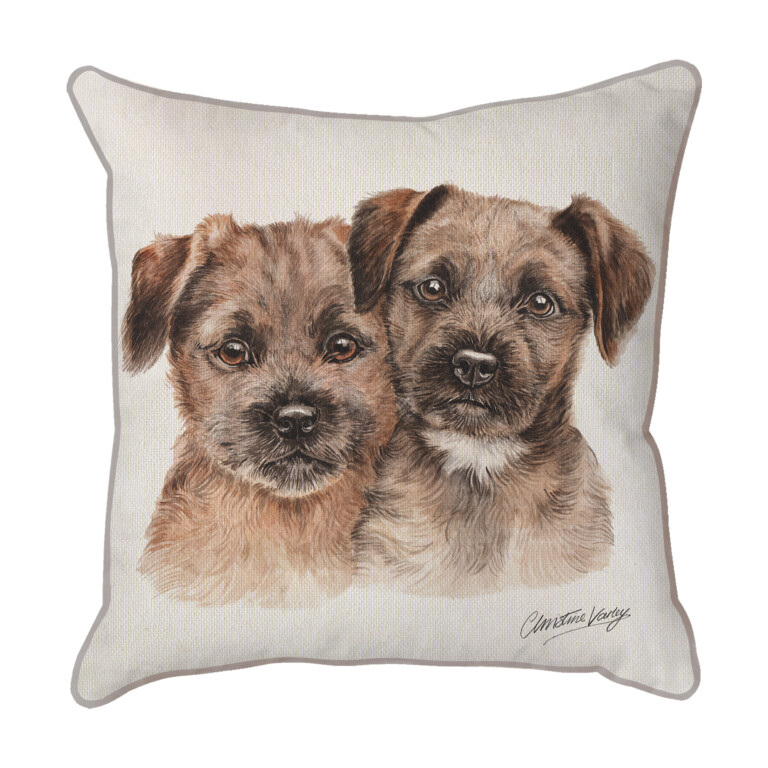 Border Terriers