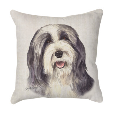 Bearded Collie