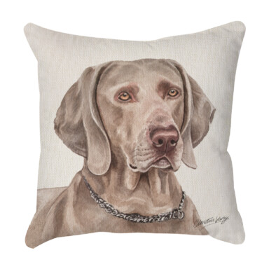 Weimaraner