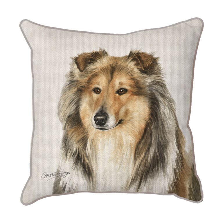 Rough Collie