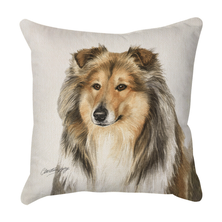 Rough Collie