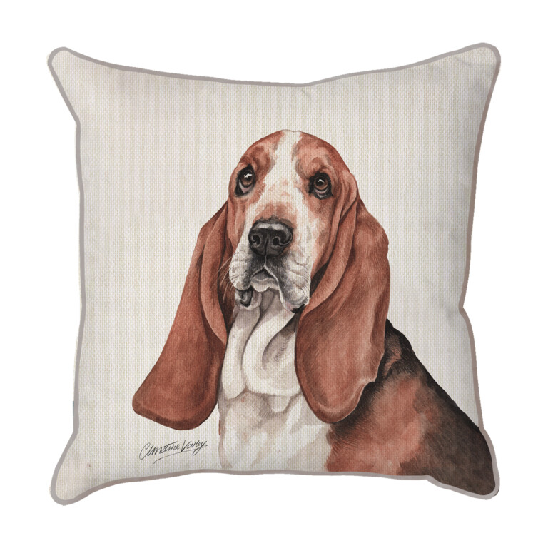 Basset Hound