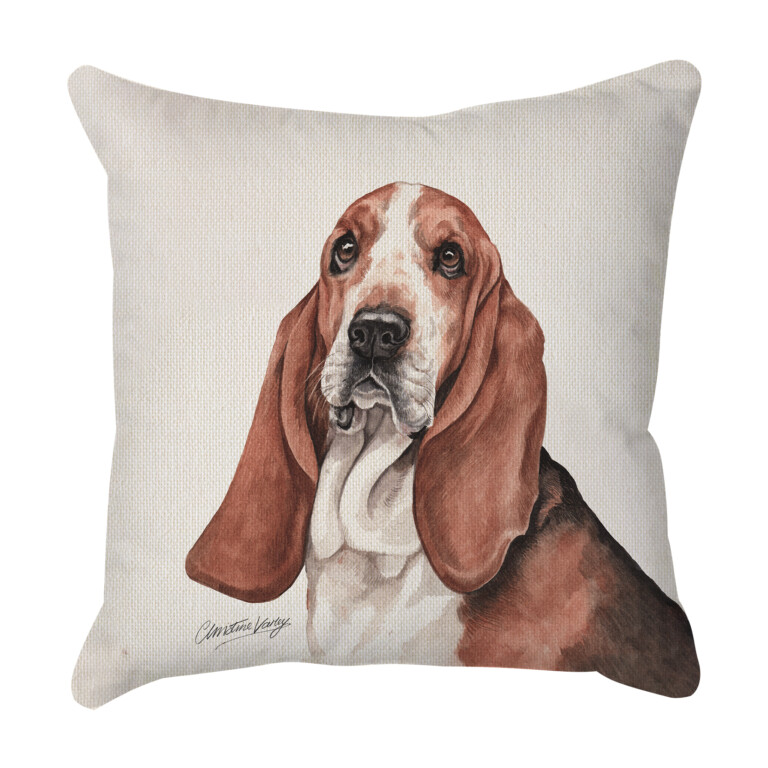 Basset Hound