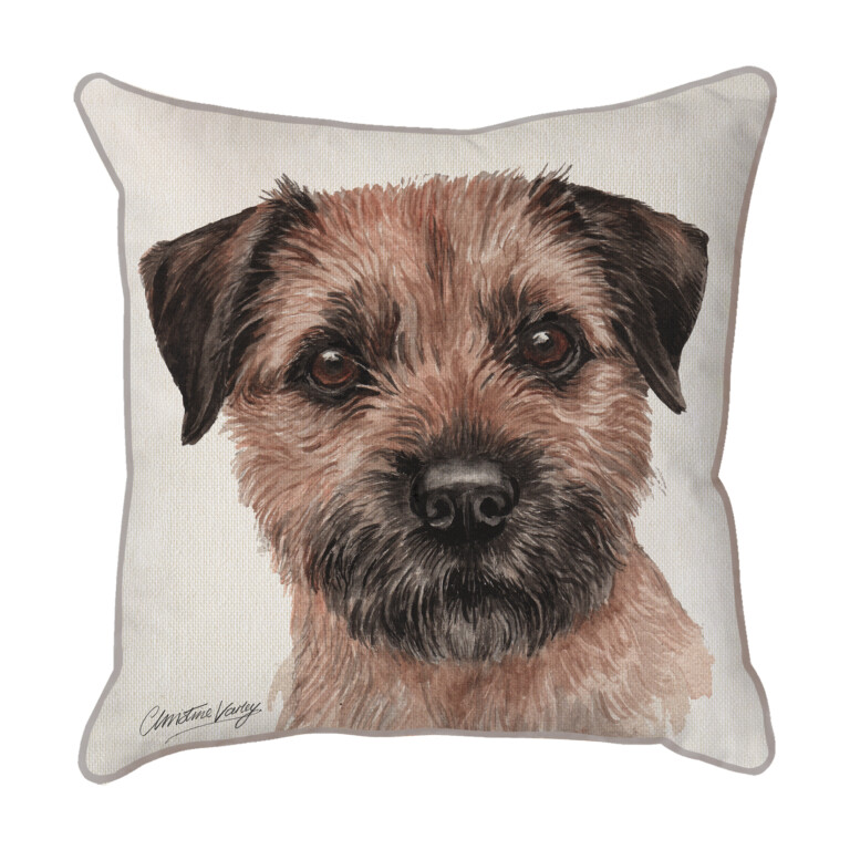 Border Terrier