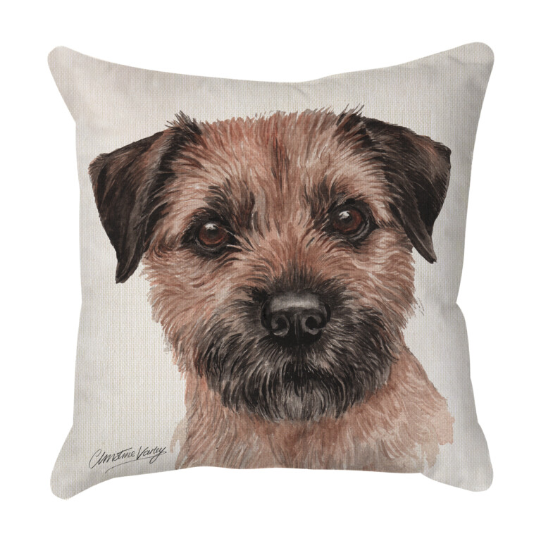 Border Terrier