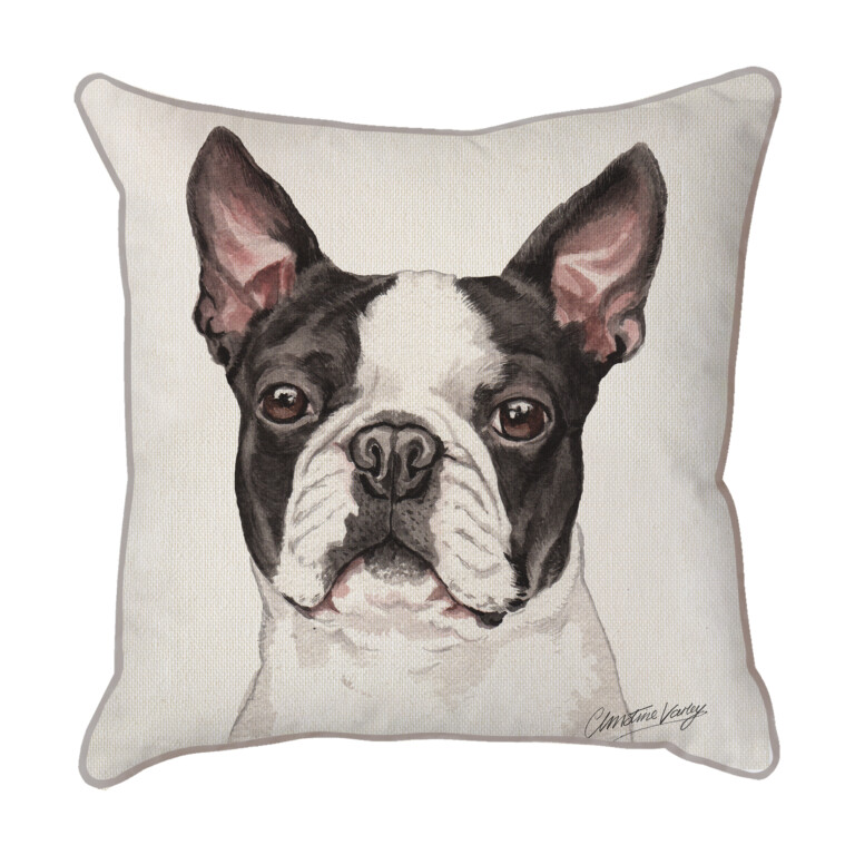 Boston Terrier