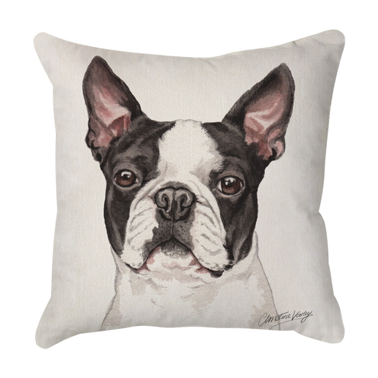 Boston Terrier