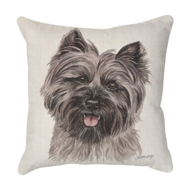 Cairn Terrier