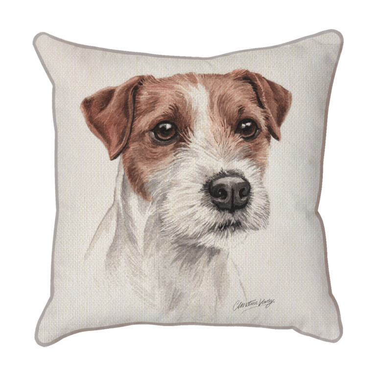 Parson Jack Russell