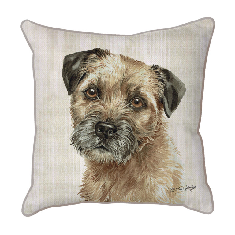 Border Terrier