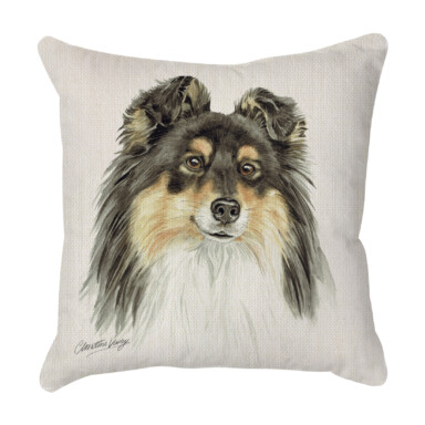 Tri Shetland Sheepdog