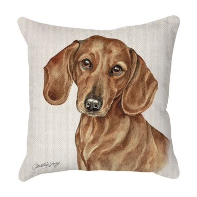 Red Dachshund