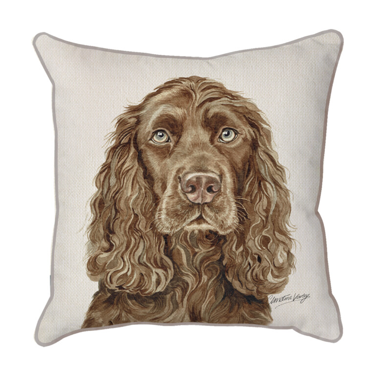 Brown Cocker Spaniel