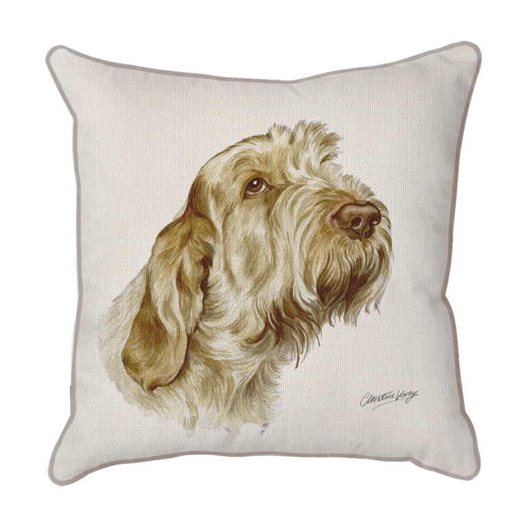 Italian Spinone