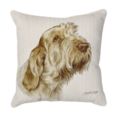 Italian Spinone