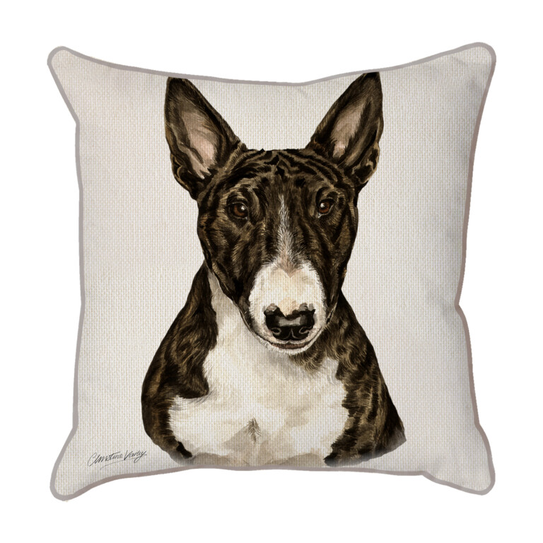 English Bull Terrier