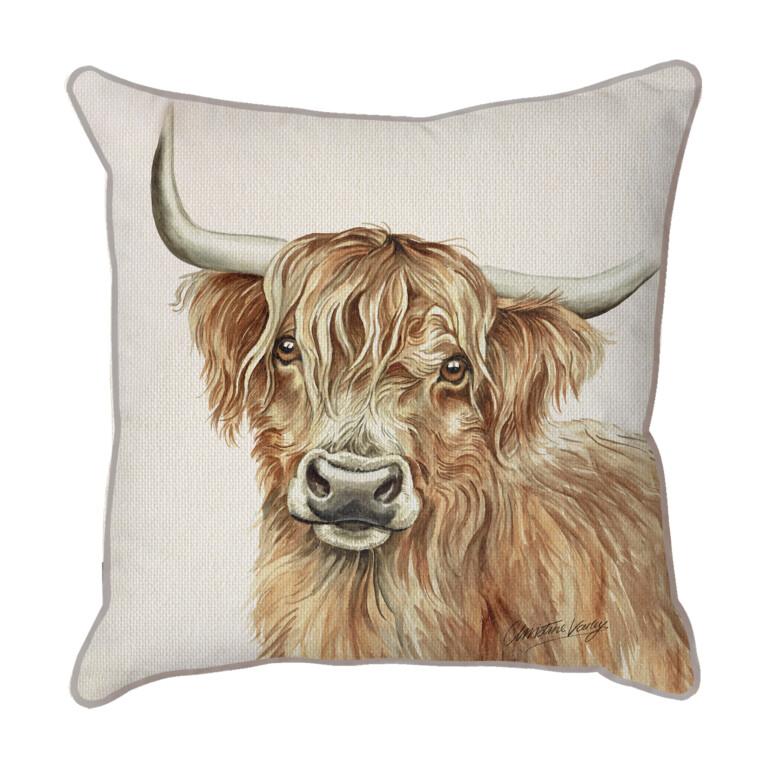 Highland Cow