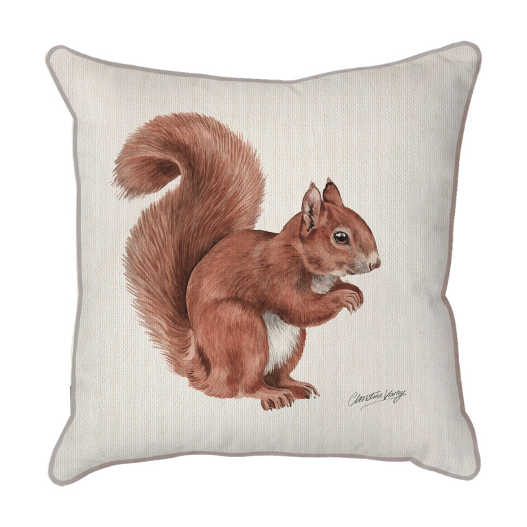 Red Squirrel