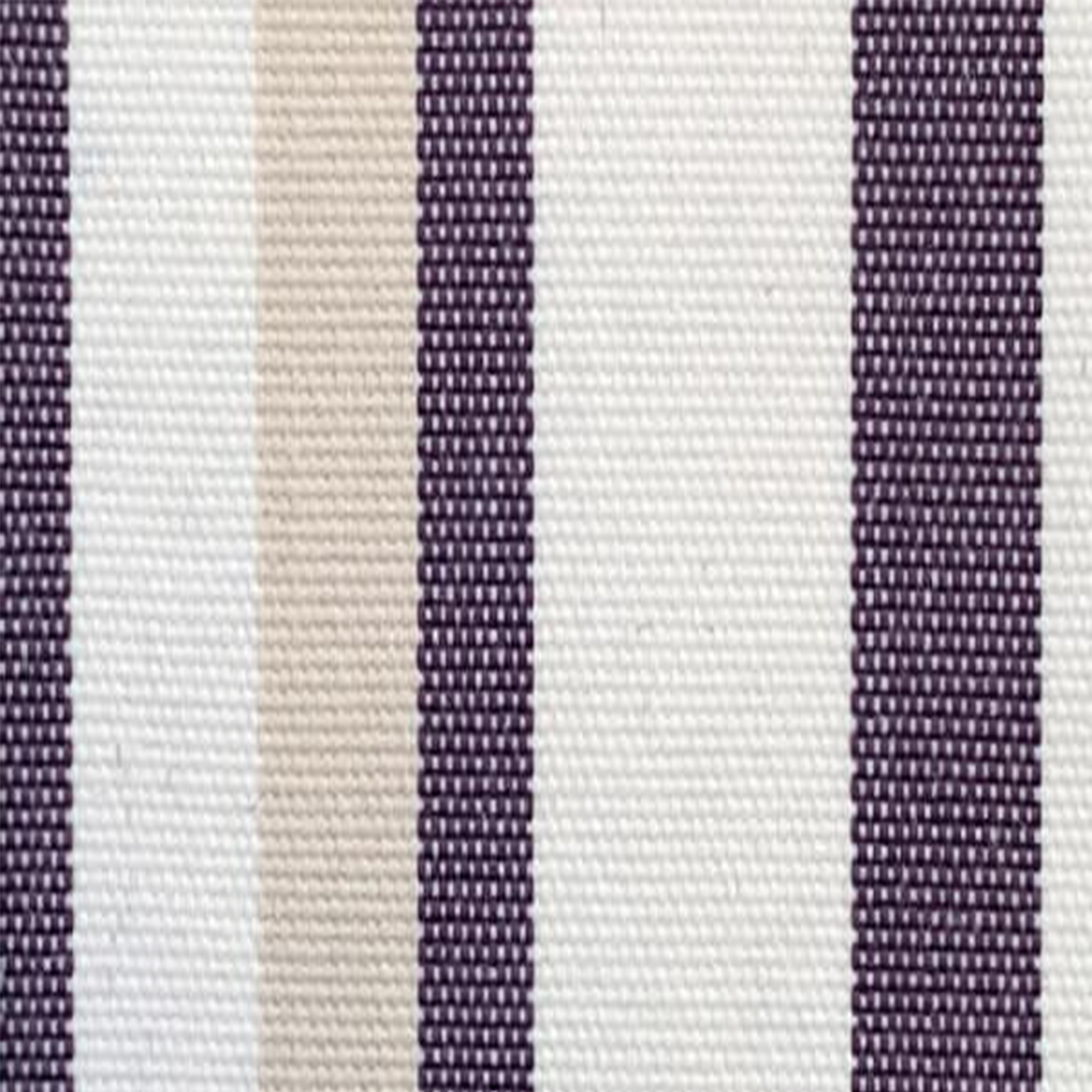 Riga Purple