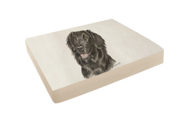 Flat-Coated Retriever Pet Bed