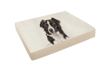 Border Collie Pet Bed