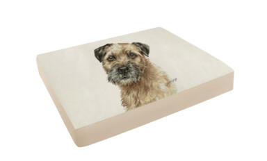 Border Terrier Pet Bed
