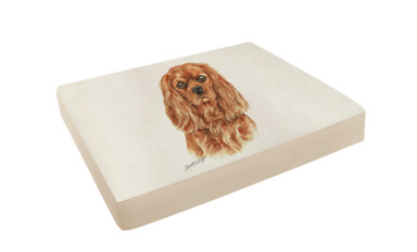 Ruby Cav King Charles Pet Bed
