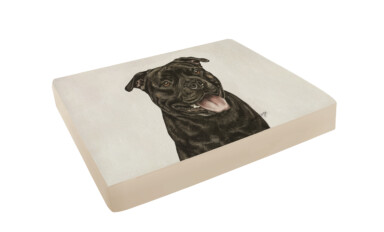 Staffordshire Bull Terrier Pet Bed